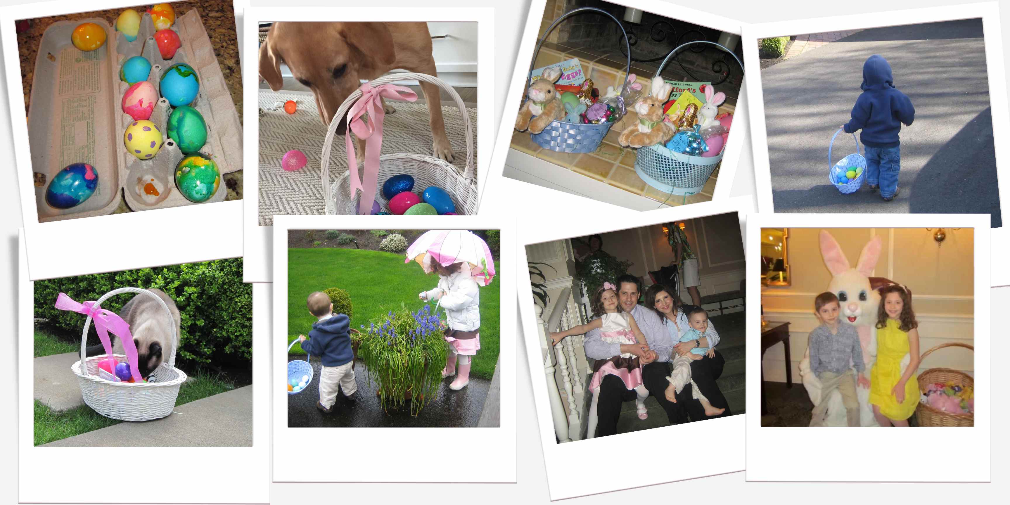 Easter photo collage